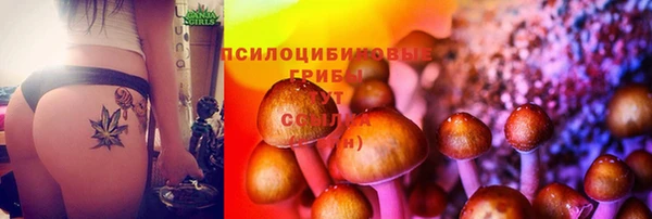 apvp Краснослободск
