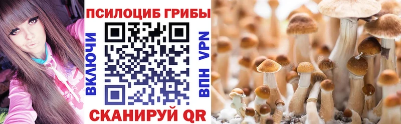мориарти как зайти  даркнет сайт  Кудымкар  Галлюциногенные грибы Psilocybe  hydra tor 
