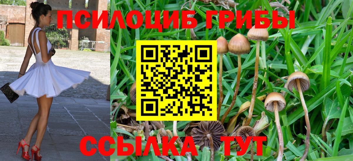 Галлюциногенные грибы прущие грибы Кудымкар