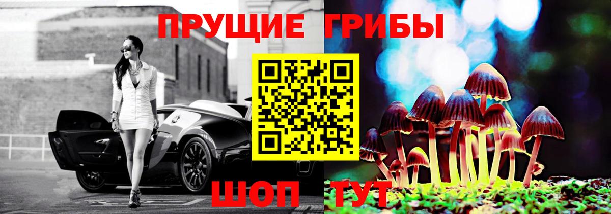 Кудымкар  как найти   Вход с VPN  Псилоцибиновые грибы MAGIC MUSHROOMS 